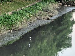 -怡海公园(桂城街道)