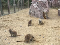 -茅山东方盐湖城景区