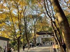 -岳麓山风景名胜区