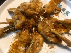 -鱼粤鲜淘米捞·中山脆肉鲩火锅(悦湖会店)