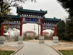 -云岗森林公园
