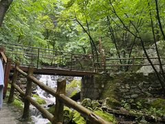 -青峰峡国家森林公园