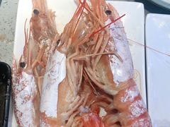阿根廷大虾-乔哥铭洋海鲜自助(皇城恒隆广场店)