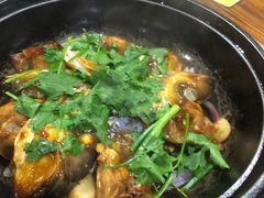 -石岐乳鸽村(南海第三分店)