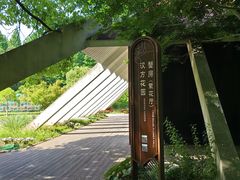 -东平国家森林公园