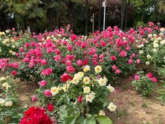 -洛阳市隋唐城遗址植物园