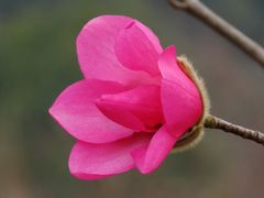 -白塘生态植物园