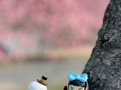 -上海辰山植物园