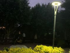-五缘湾湿地公园