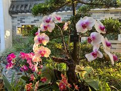 -东莞植物园