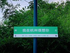 -西溪国家湿地公园