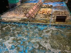 水产区-徐记海鲜(观沙岭|滨江新城店)