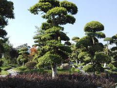 -武汉紫薇都市田园