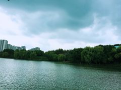 -圩墩遗址公园