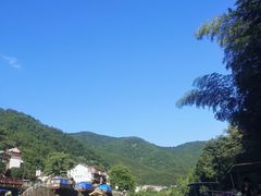-芦茨金富饭庄·25年老字号·专做稻草鸡