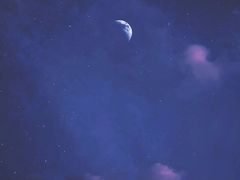 -舒小笼松针小笼包