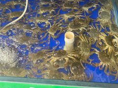 -阳澄湖大闸蟹·琼灵阁牌品牌连锁(吴中总店)