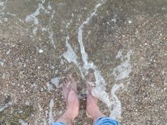 -深圳湾公园(南山区)