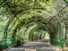 -常州淹城野生动物世界