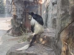 -南昌动物园