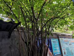 -蓉城西二道无名冒菜(西二道街店)