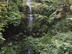 -莫里热带雨林景区