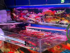 -桂林市花鸟市场