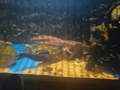 -华夏文旅西安度假区