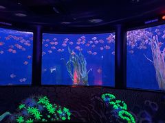 -沈阳海洋探索中心