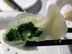 韭菜鸡蛋水饺-海知道大连海鲜水饺(南山大冲店)