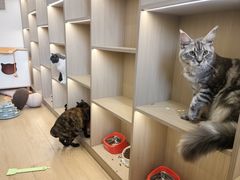 -云水涧亲子度假酒店