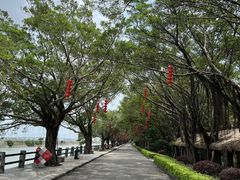 -大湾区中央湿地公园