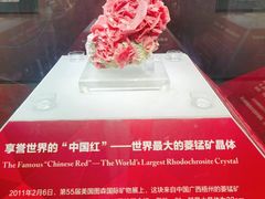 -湖南省地质博物馆