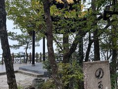 -天目山大树王景区