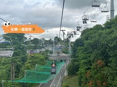 -圣淘沙天际线斜坡滑车