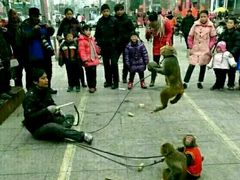 -小米之家(渝中龙湖时代天街店)