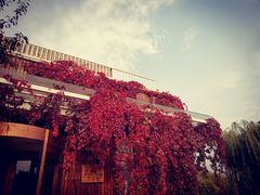 -南翠屏公园
