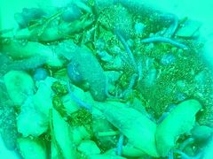 -渔码头食府·20年蓬莱老字号(登州路店)