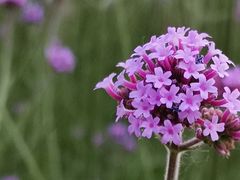 -杭州城北体育公园