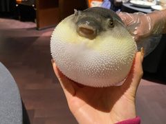 -肆月河豚·淮扬菜·湘菜(华天店)