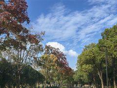-苏州图书馆(人民路总馆)