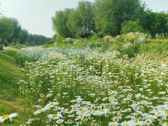 -汉长安城未央宫国家考古遗址公园