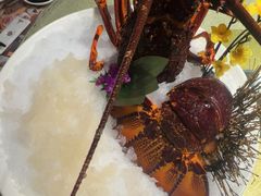 -顺轩海鲜火锅酒家