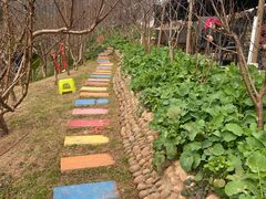-桃源山庄·水蜜桃采摘·柴火鸡·烧烤团建(龙泉山店)