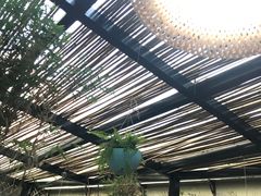 -周三的情书花园餐厅(江北店)