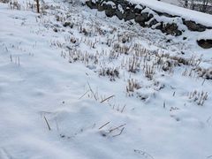 -北京西山滑雪场