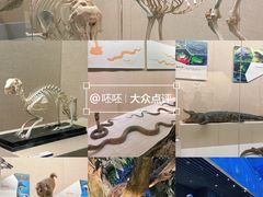 -广东省博物馆
