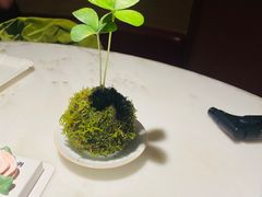 -初蓉丨遇见新川菜(亲贤街荣耀店)