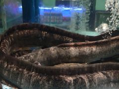 -阿伟海鲜楼·福建菜(延寿店)