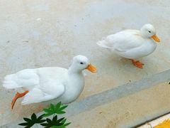 -红山体育度假乐园